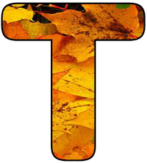 Herbstbuchstabe-2-T.jpg